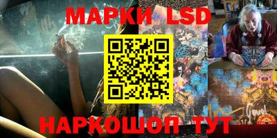 мдпв Донской