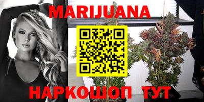мдпв Донской