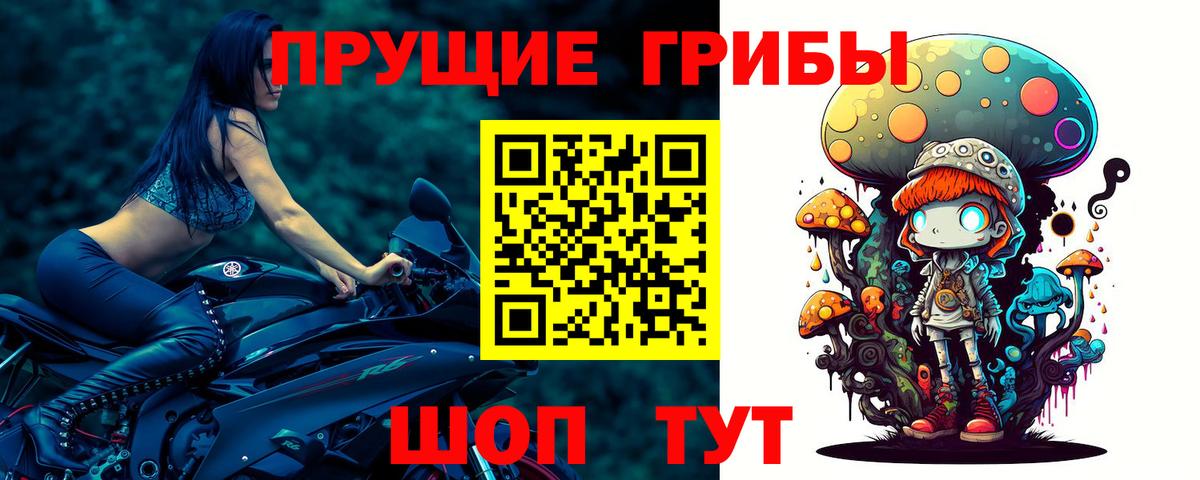 Галлюциногенные грибы прущие грибы Мегион